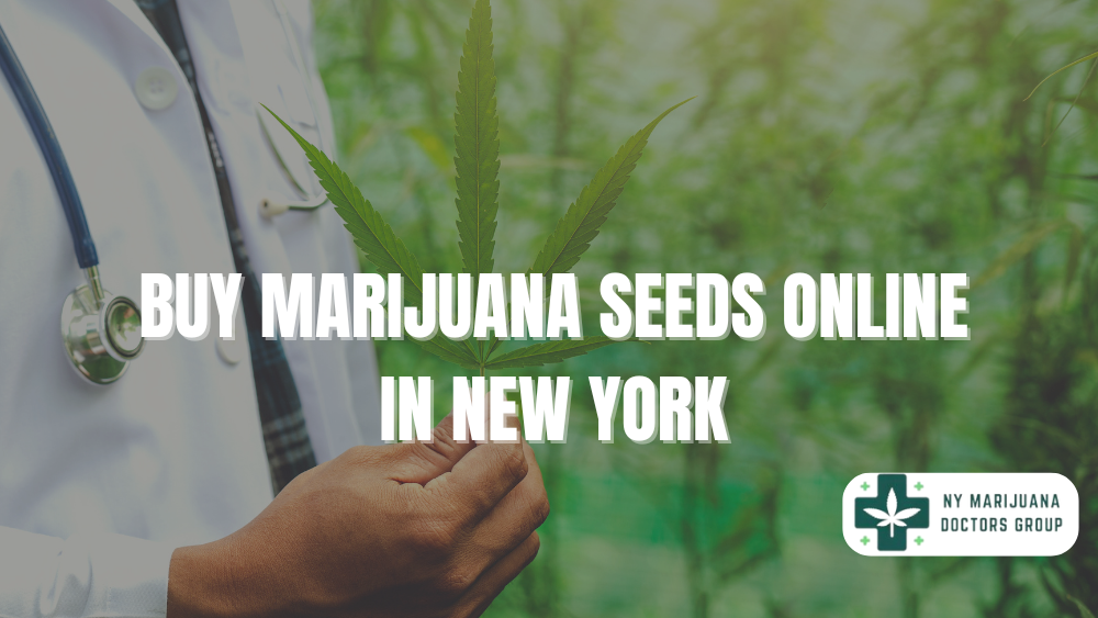 Buy Marijuana Seeds Online in New York